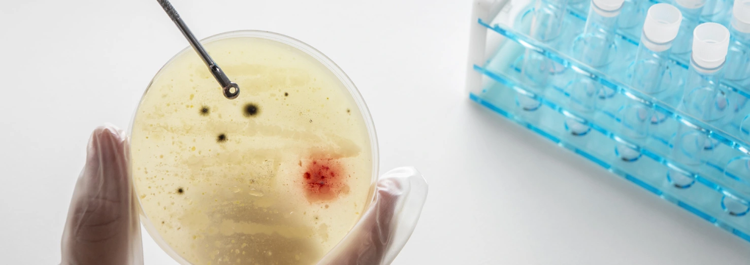 Mikrobiyota Neden Önemlidir?
