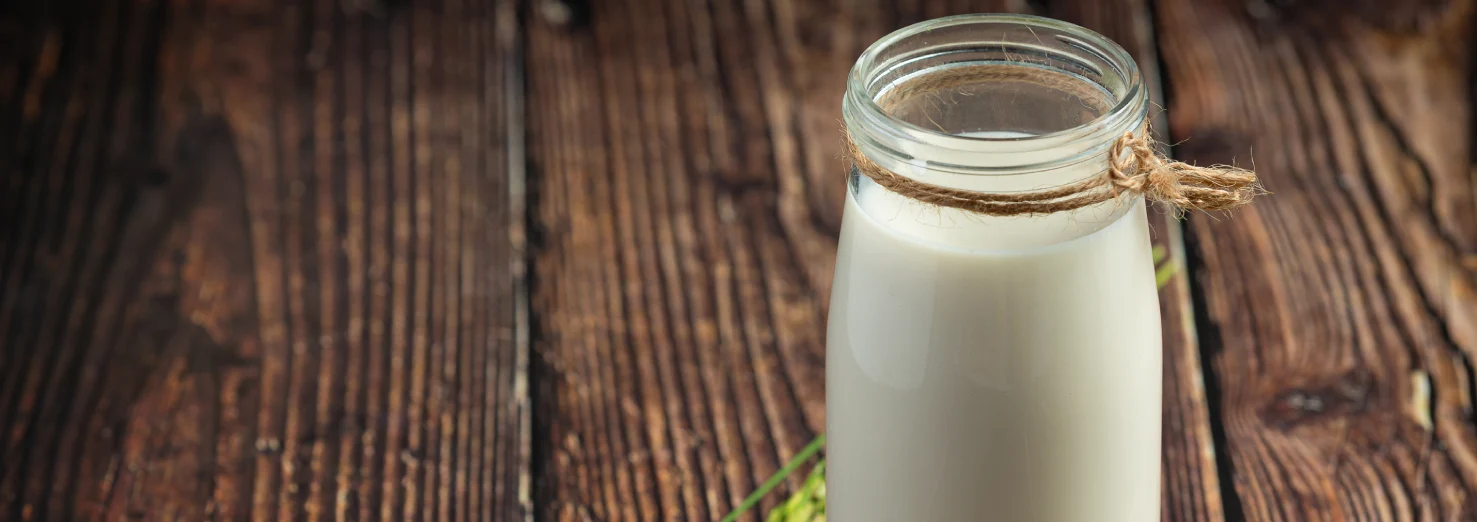 Kefir Nedir?