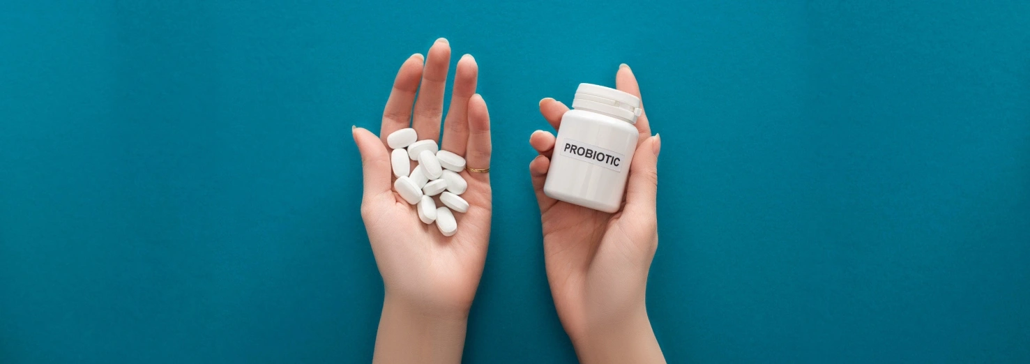 lactobacillus probiyotik
