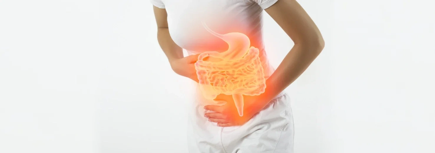 lactobacillus plantarum