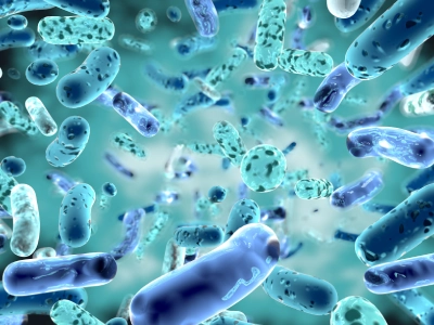 Lactobacillus Plantarum Nedir? Faydaları Nelerdir?