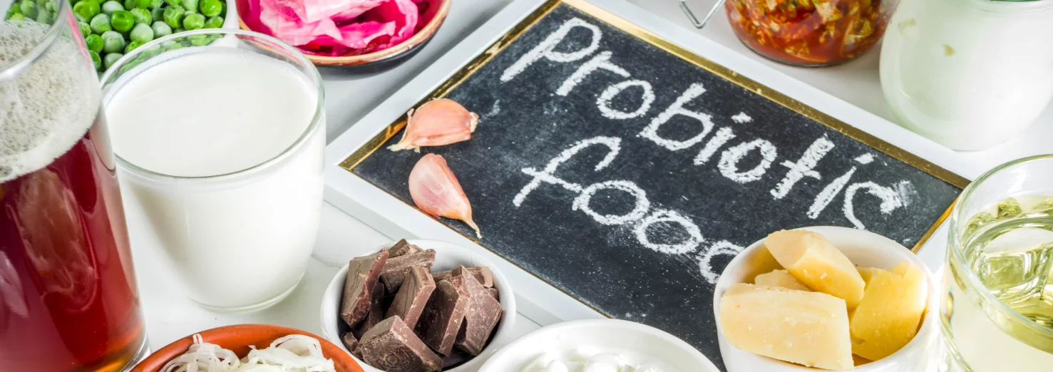 lactobacillus plantarum içeren probiyotik