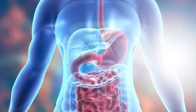 Sindirim Sistemi Nedir?